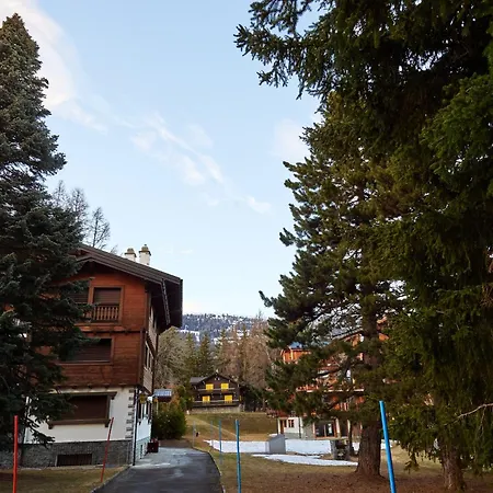 Route De Tsarbouye 17, 4br, Les Dauphinelles Apartment Crans-Montana